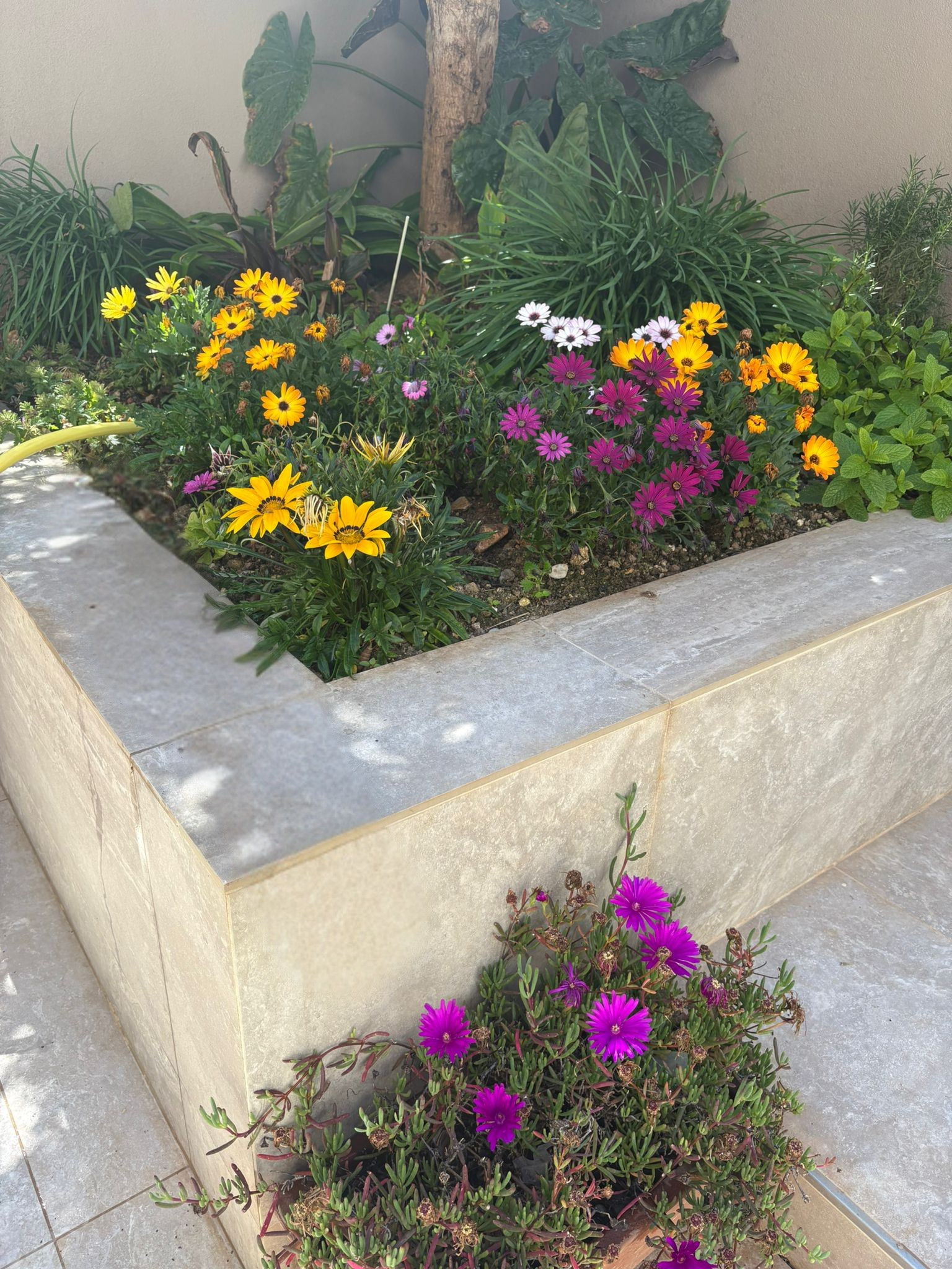 Maisonette in Mellieha - thumbnail 7