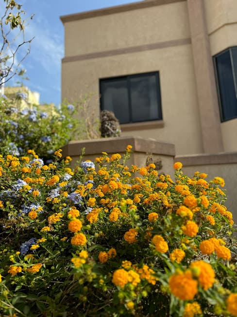 House in St. Julians - Photo 1 of 15