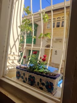 House in Sliema - thumbnail 3