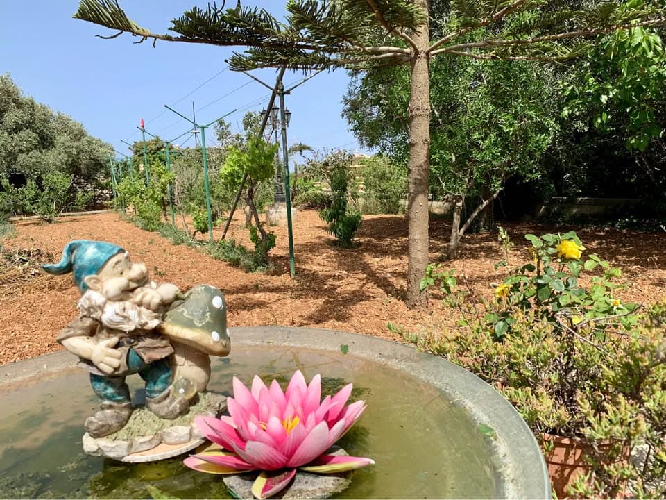 bungalow in Had Dingli - thumbnail 3