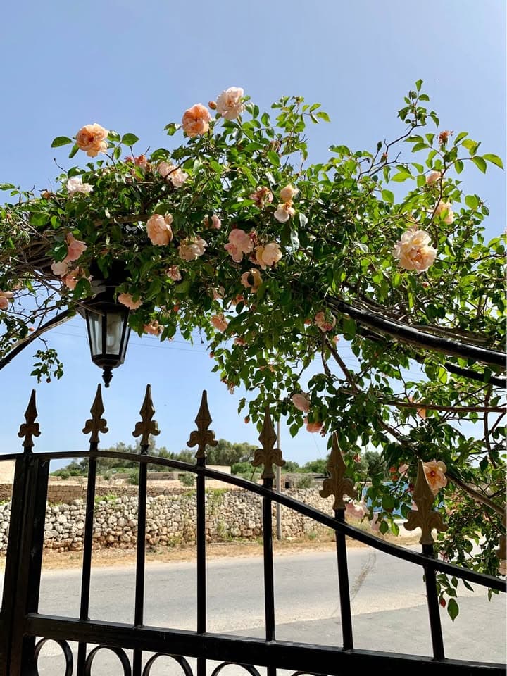 bungalow in Had Dingli - thumbnail 2